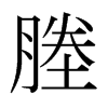 塍的日本明朝體